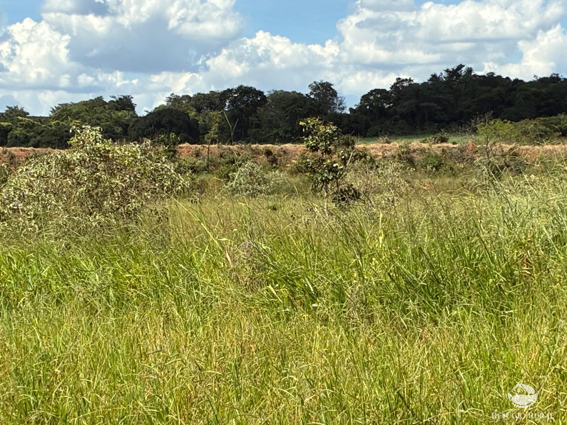 Terreno, 3 hectares - Foto 7