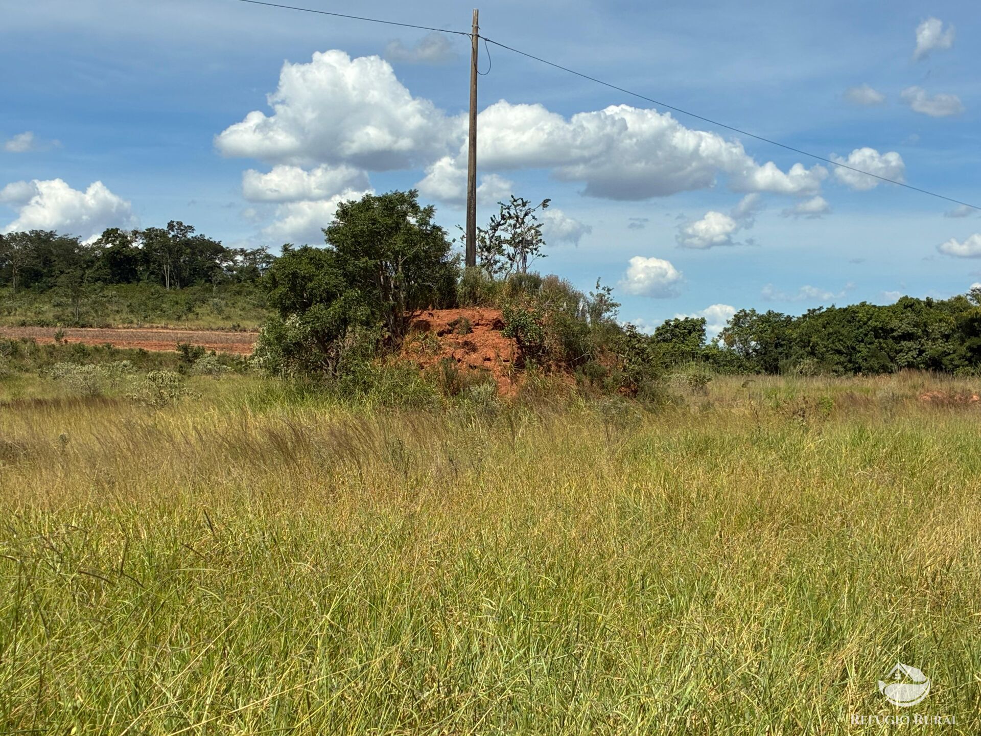 Terreno, 3 hectares - Foto 10