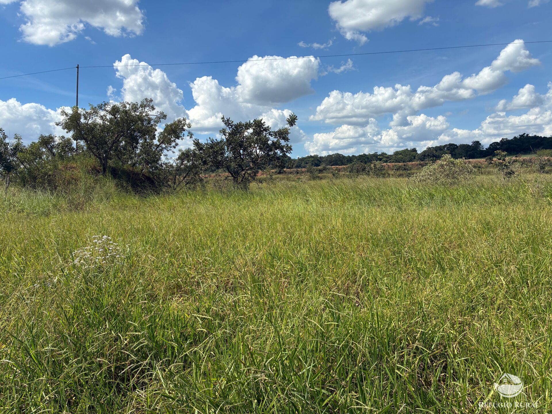 Terreno, 3 hectares - Foto 4