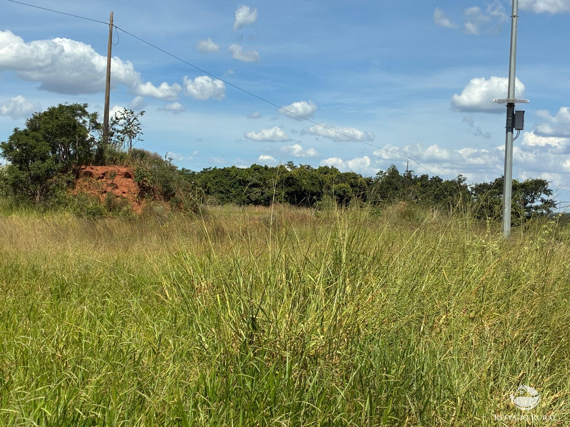 Terreno, 3 hectares - Foto 8