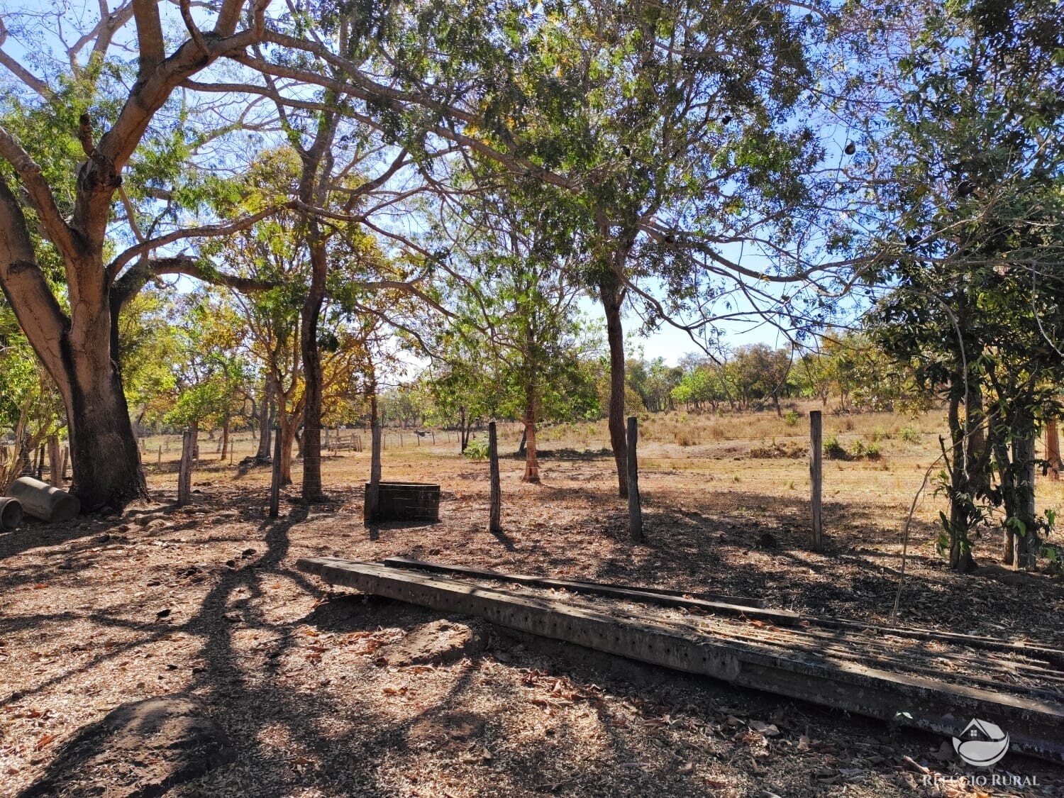 Fazenda à venda com 1 quarto, 4598000m² - Foto 11