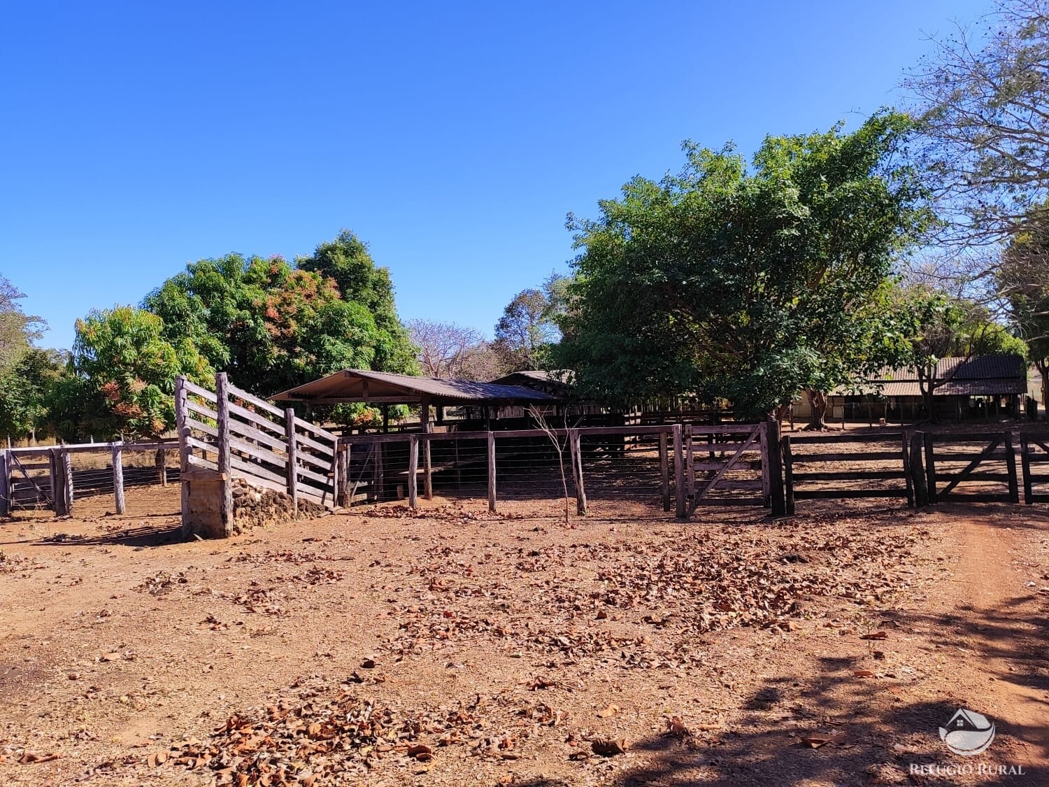 Fazenda à venda com 1 quarto, 4598000m² - Foto 17