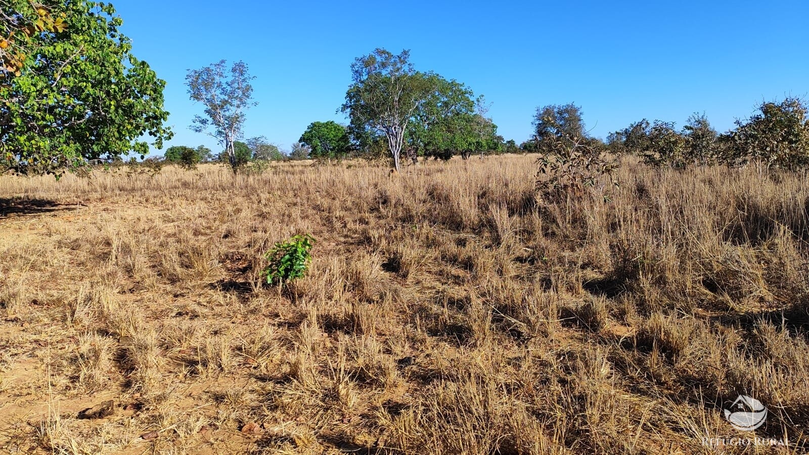 Fazenda à venda com 1 quarto, 4598000m² - Foto 7