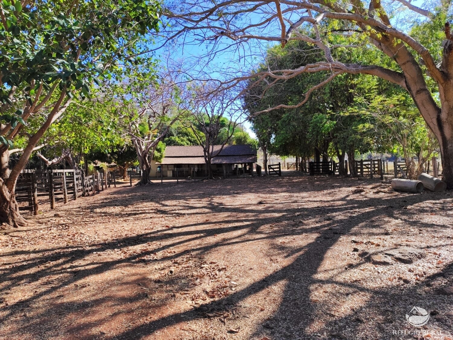 Fazenda à venda com 1 quarto, 4598000m² - Foto 9