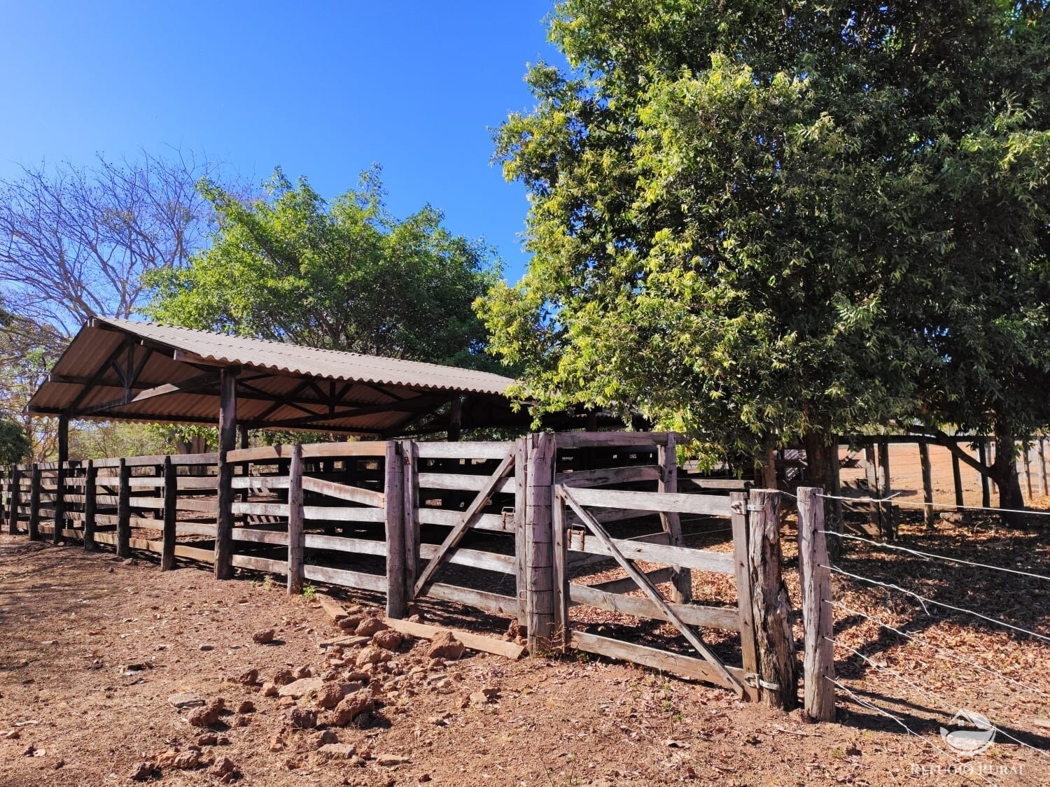 Fazenda à venda com 1 quarto, 4598000m² - Foto 1