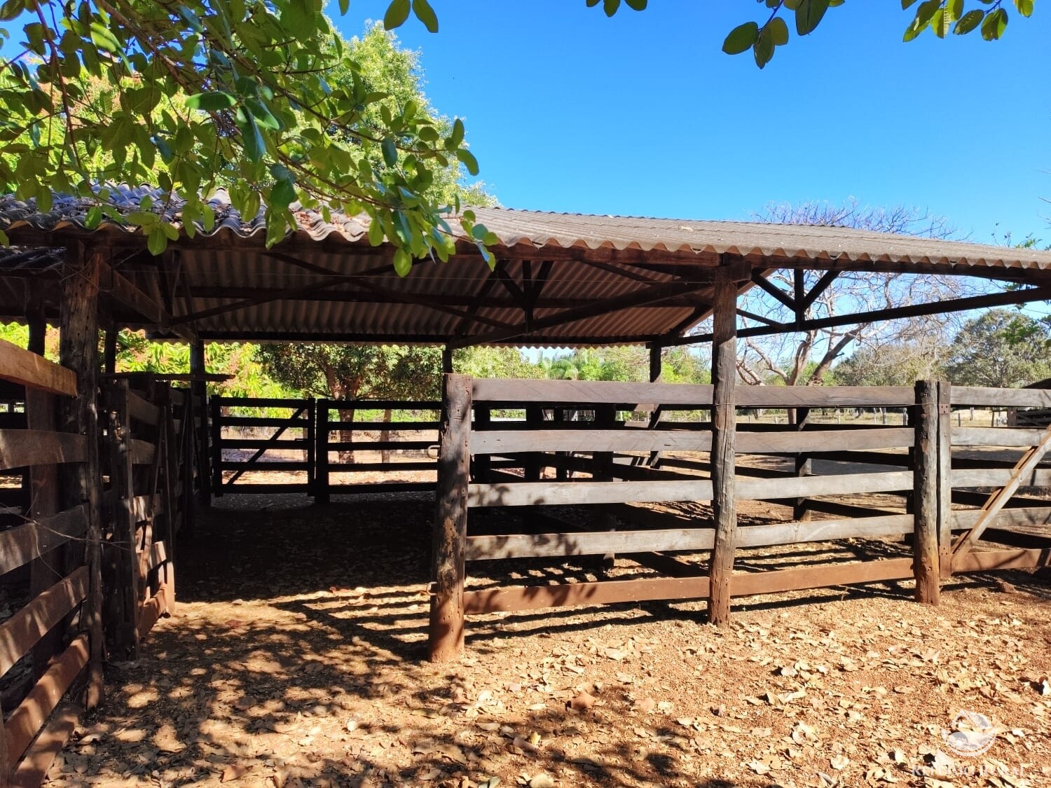 Fazenda à venda com 1 quarto, 4598000m² - Foto 16