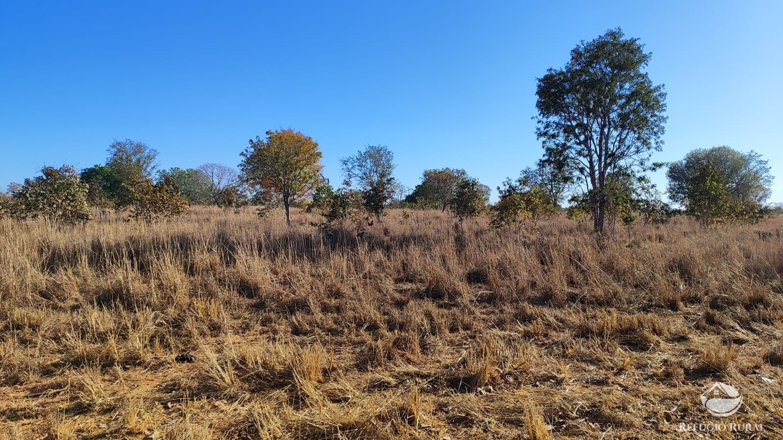 Fazenda à venda com 1 quarto, 4598000m² - Foto 4