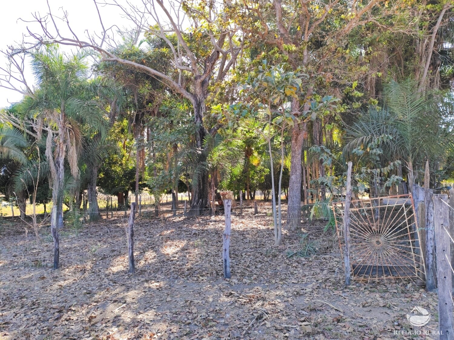 Fazenda à venda com 1 quarto, 4598000m² - Foto 15