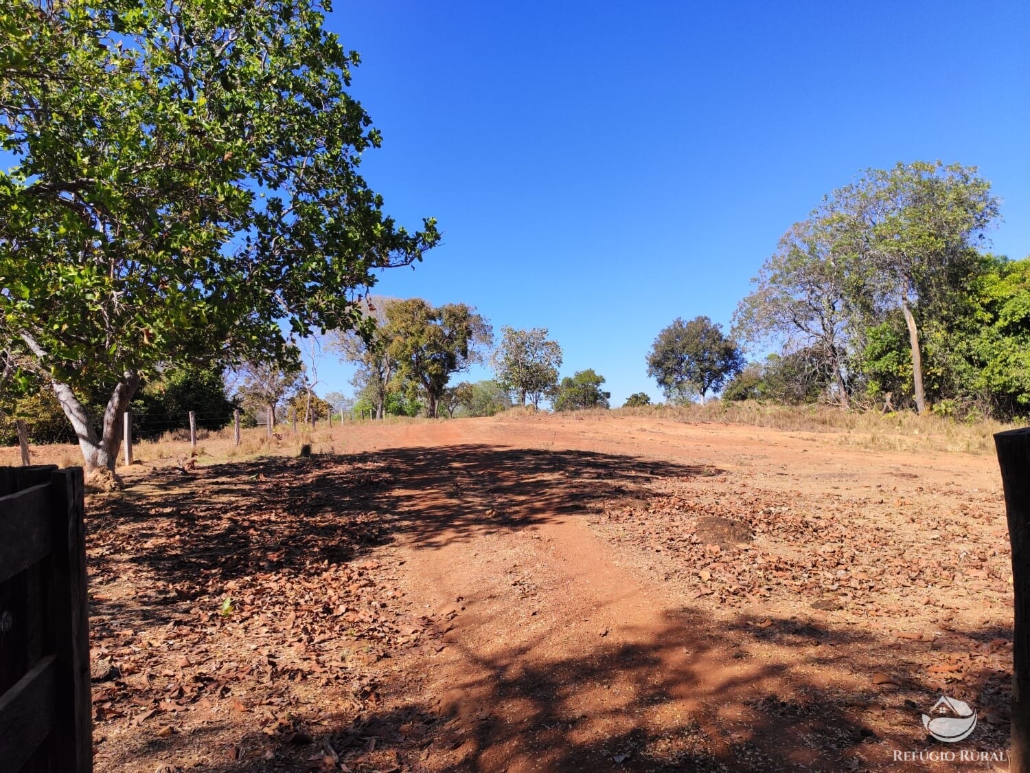 Fazenda à venda com 1 quarto, 4598000m² - Foto 12