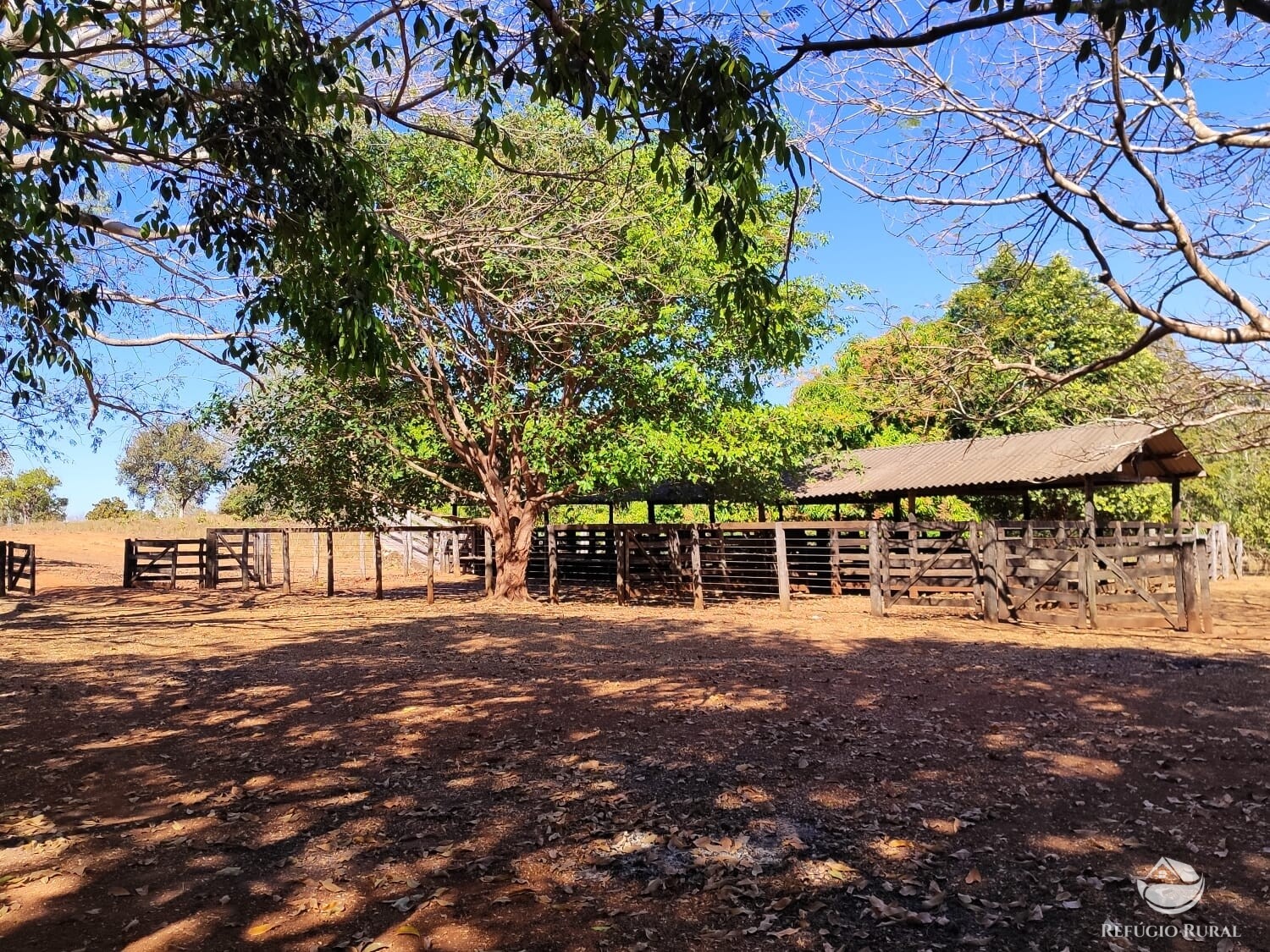 Fazenda à venda com 1 quarto, 4598000m² - Foto 2