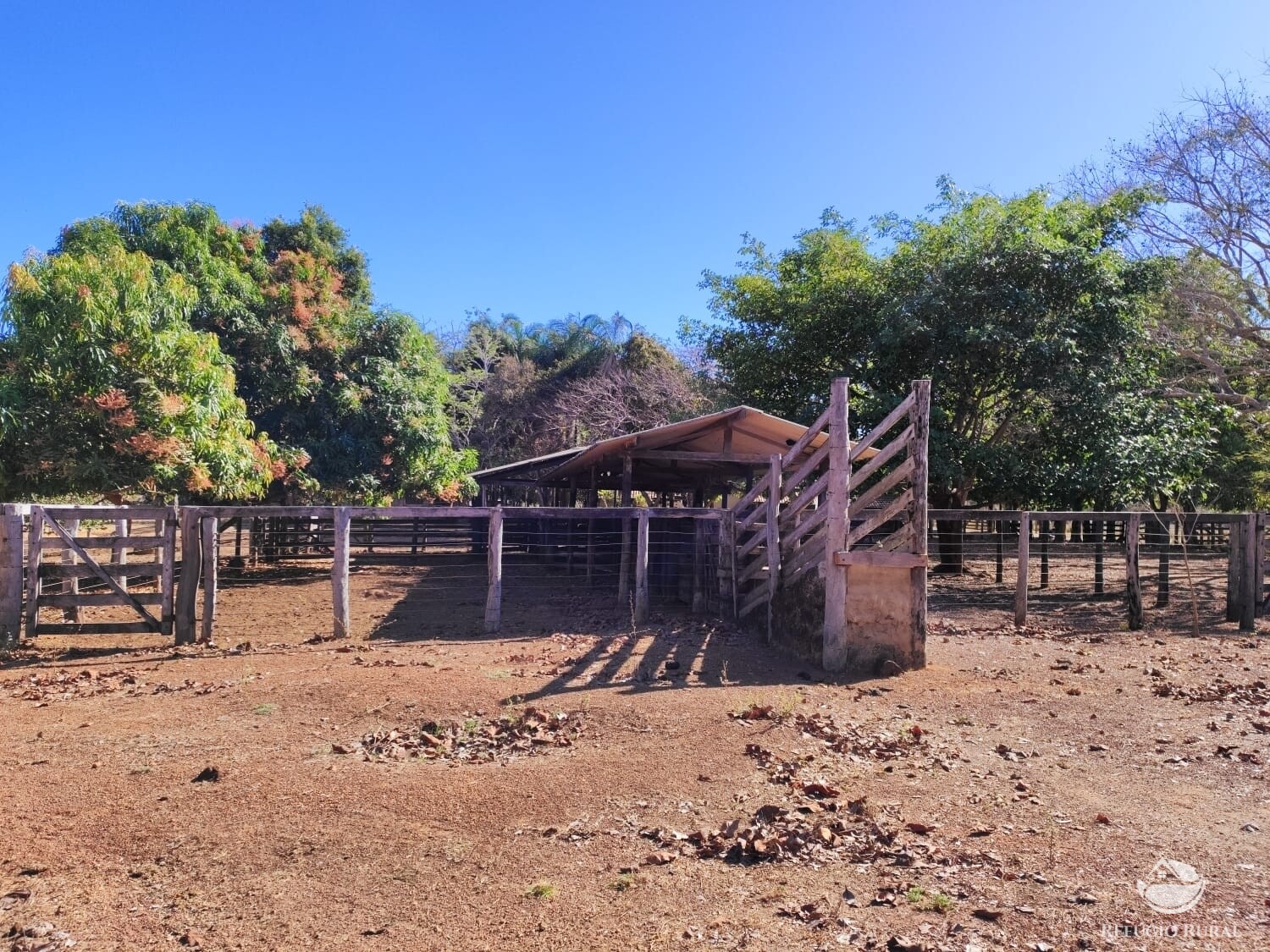 Fazenda à venda com 1 quarto, 4598000m² - Foto 8