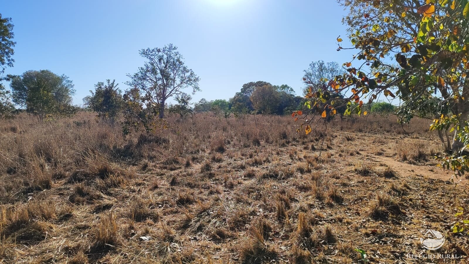 Fazenda à venda com 1 quarto, 4598000m² - Foto 5