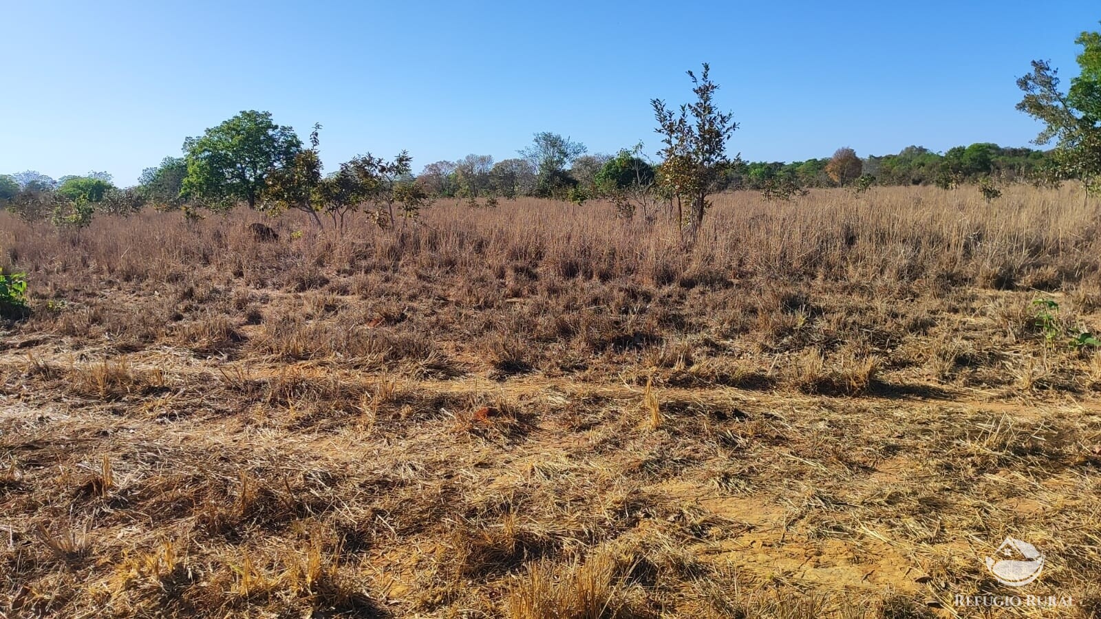 Fazenda à venda com 1 quarto, 4598000m² - Foto 6