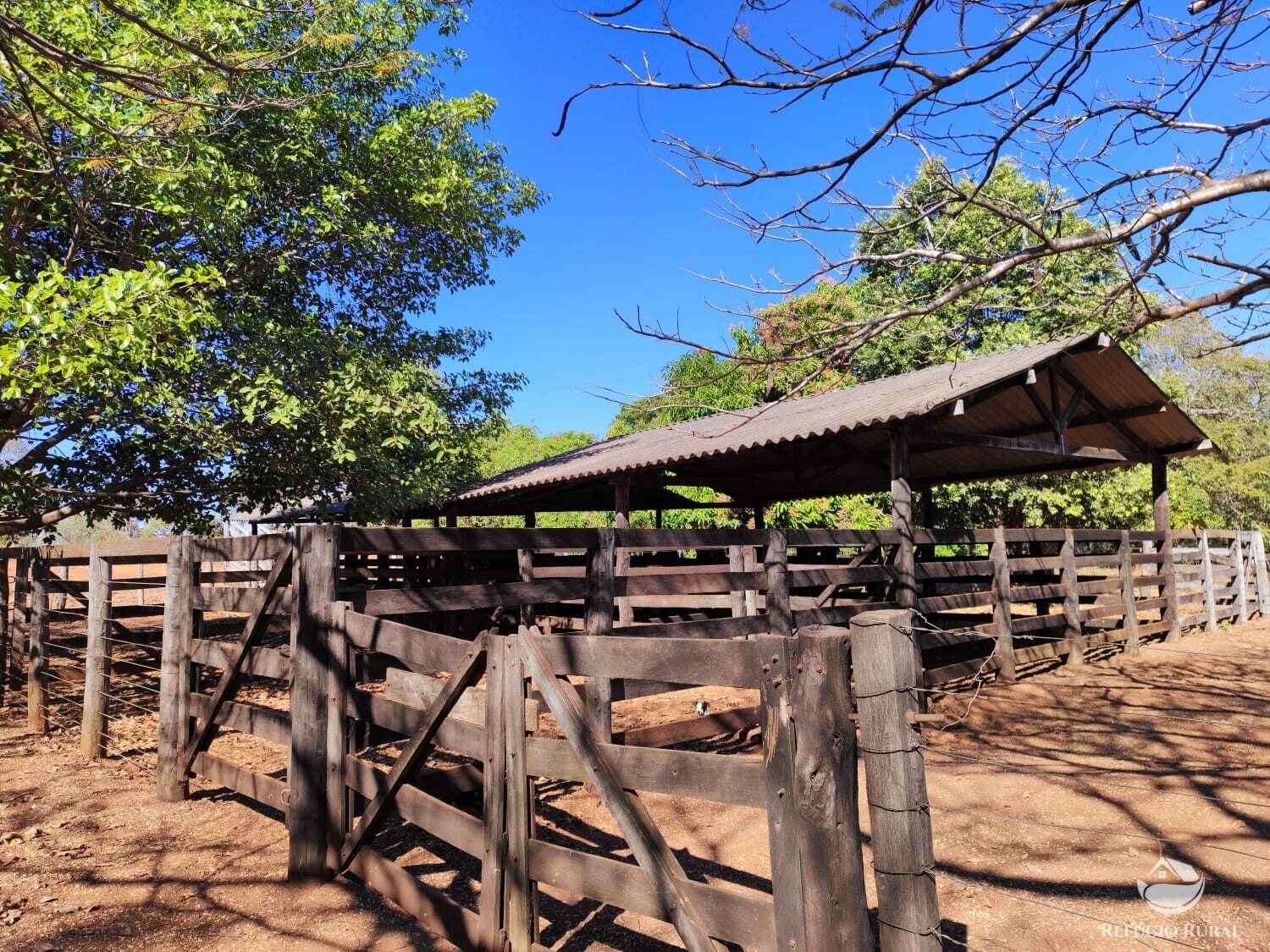 Fazenda à venda com 1 quarto, 4598000m² - Foto 13