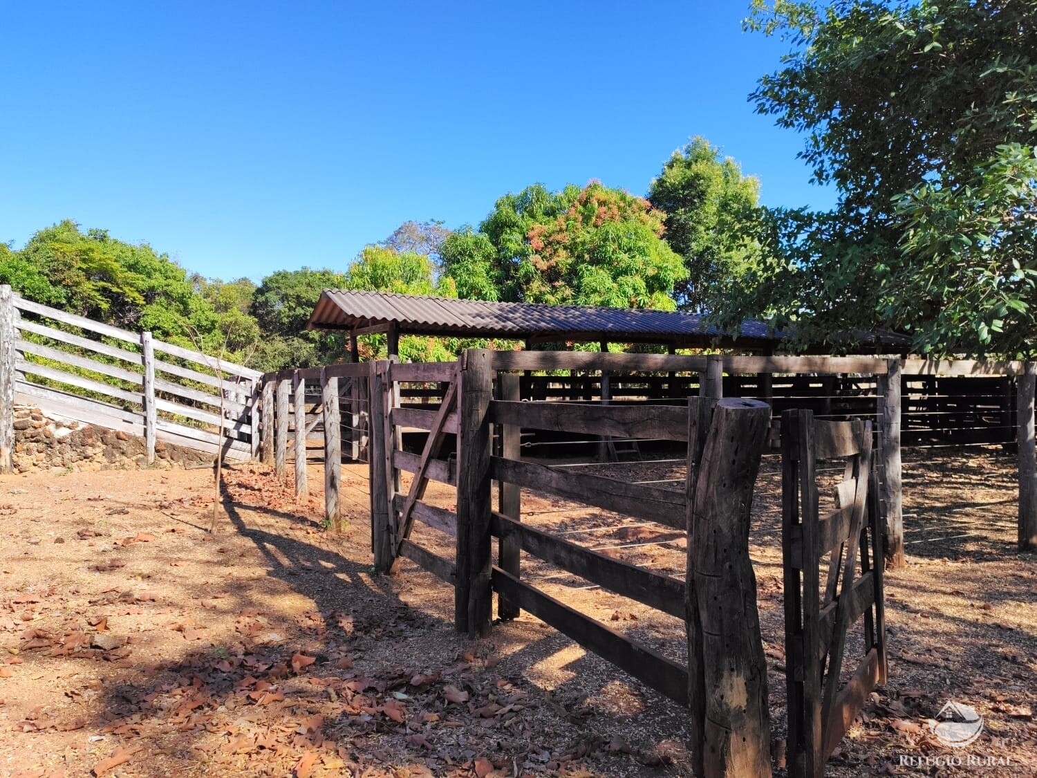 Fazenda à venda com 1 quarto, 4598000m² - Foto 10