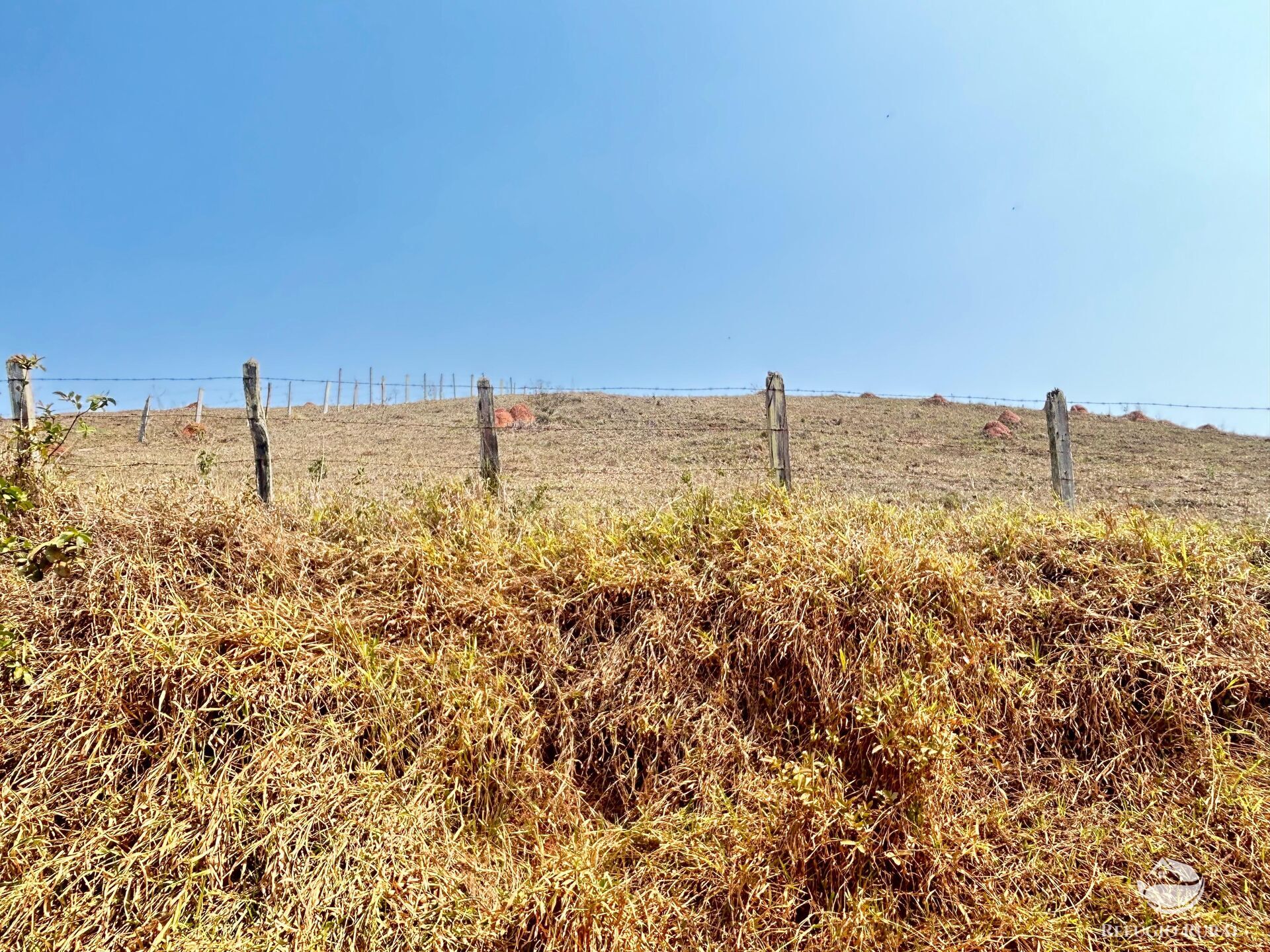 Fazenda à venda com 1 quarto, 3315400m² - Foto 20