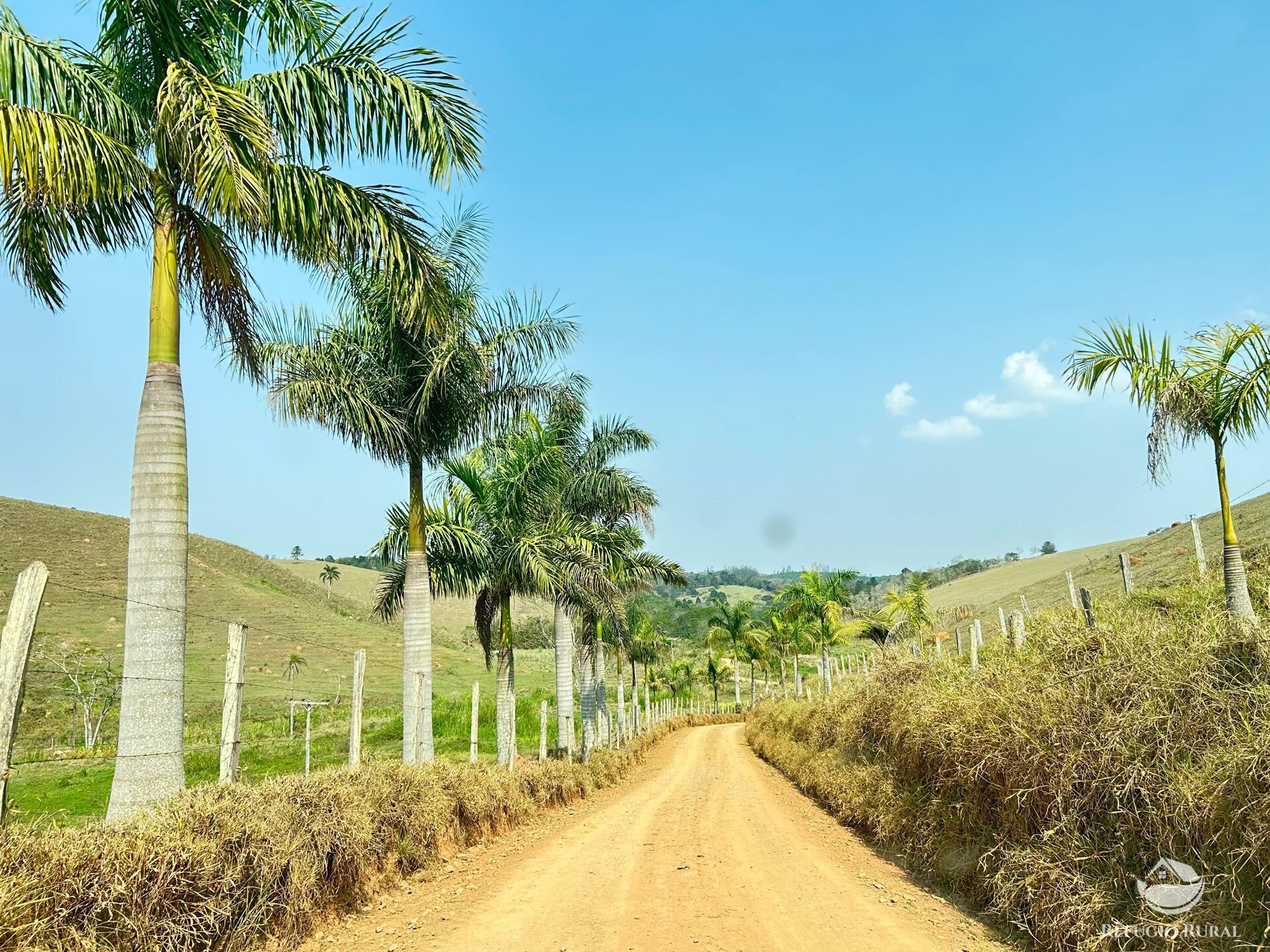 Fazenda à venda com 1 quarto, 3315400m² - Foto 1