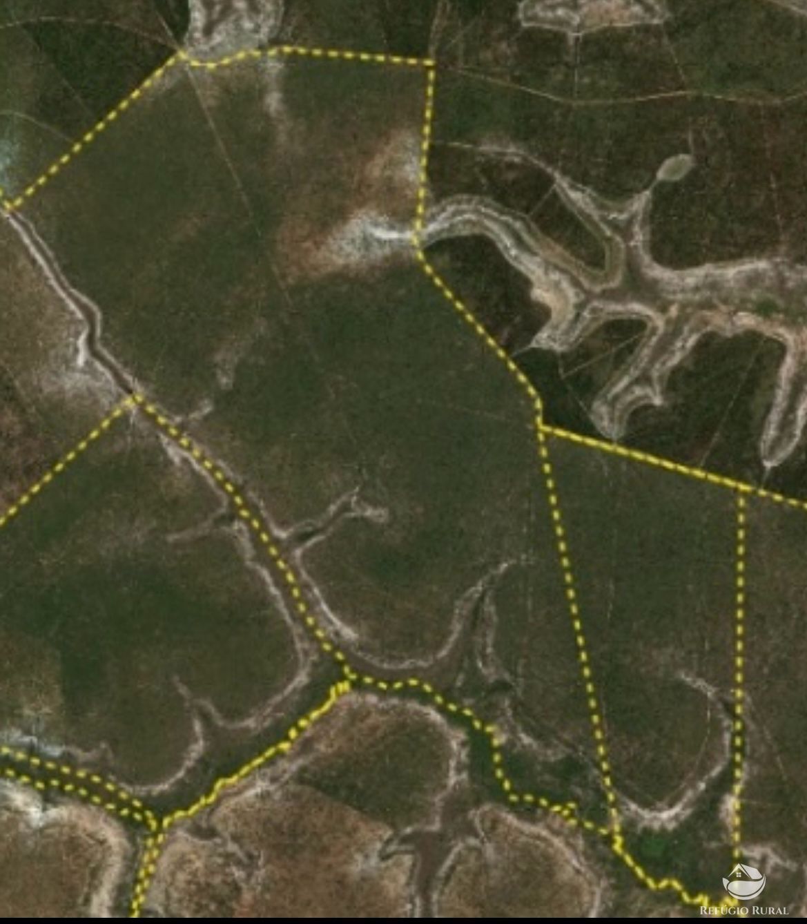 Fazenda, 744 hectares - Foto 4