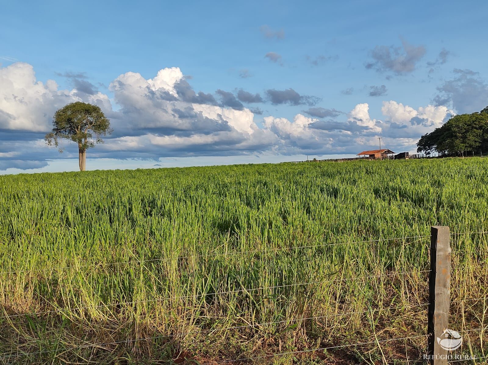 Fazenda à venda com 10 quartos, 52500000m² - Foto 3