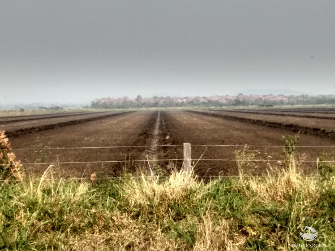 Fazenda à venda com 10 quartos, 52500000m² - Foto 4