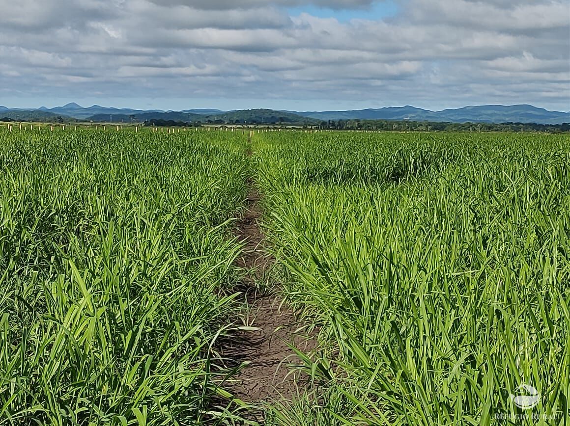 Fazenda à venda com 10 quartos, 52500000m² - Foto 5