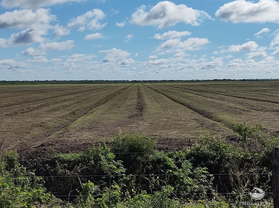 Fazenda à venda com 10 quartos, 52500000m² - Foto 6