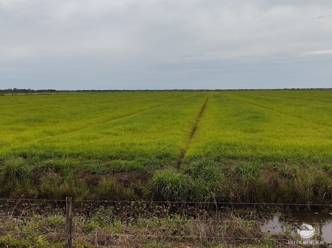 Fazenda à venda com 10 quartos, 52500000m² - Foto 9