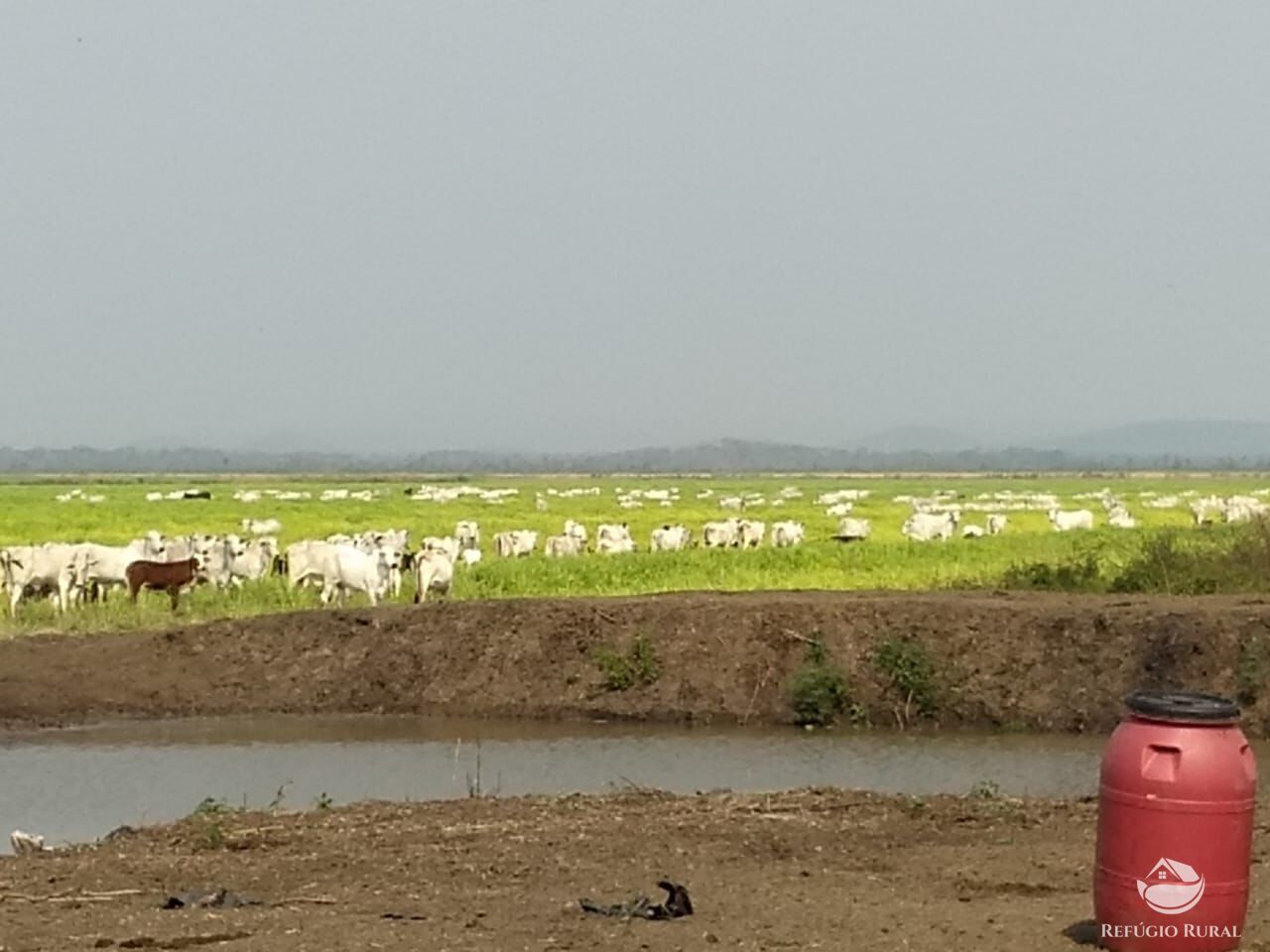 Fazenda à venda com 10 quartos, 52500000m² - Foto 2