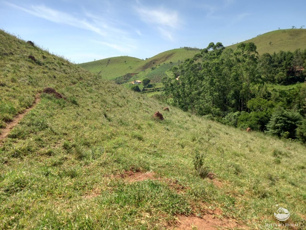 Terreno à venda, 24200m² - Foto 7