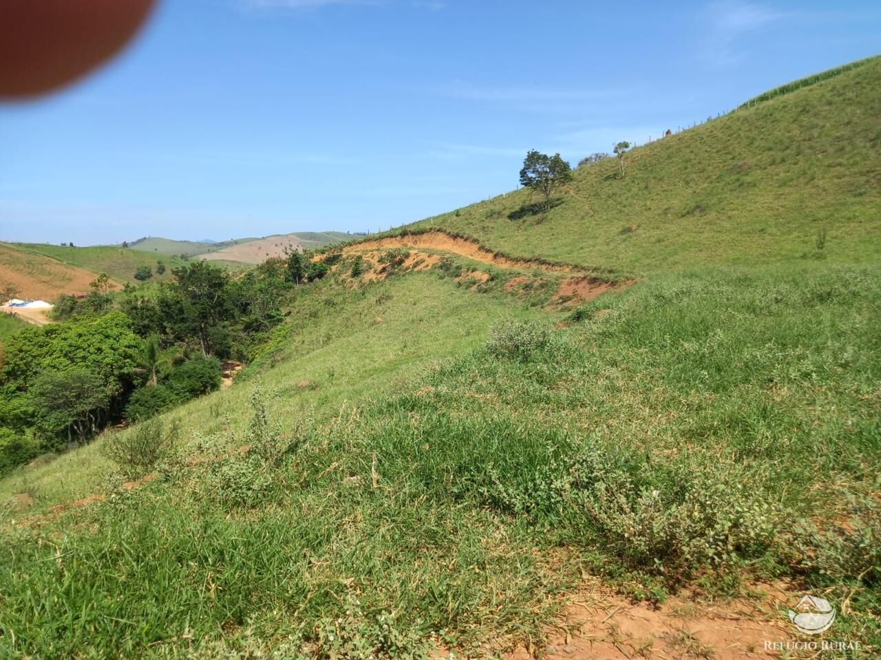Terreno à venda, 24200m² - Foto 4