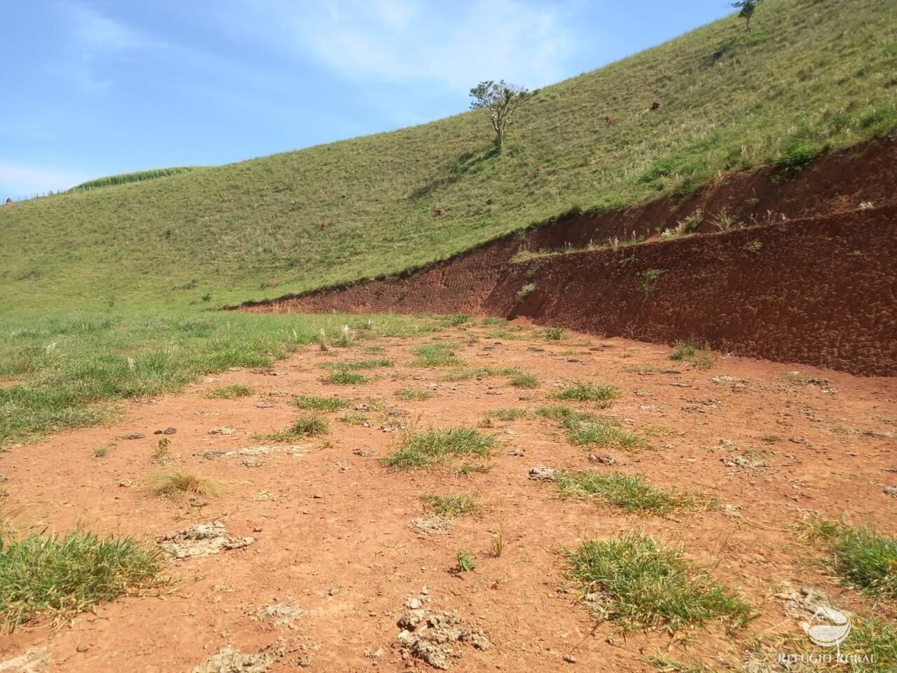 Terreno à venda, 24200m² - Foto 9