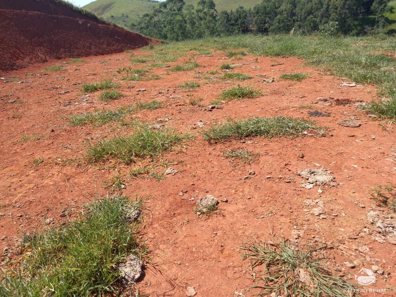 Terreno à venda, 24200m² - Foto 12