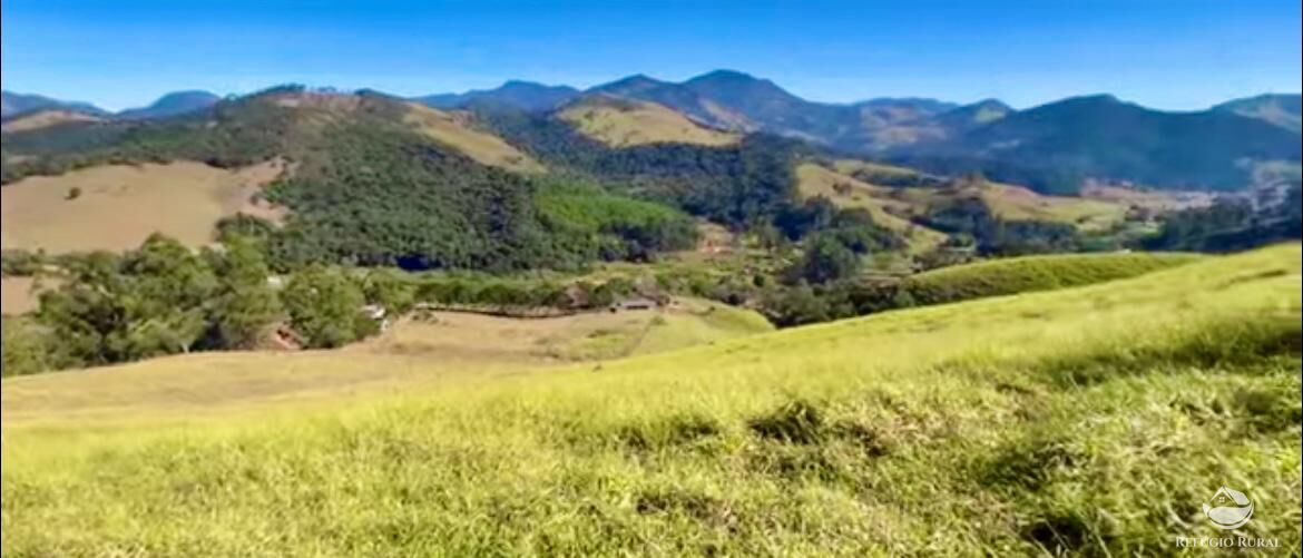 Fazenda à venda com 3 quartos, 2662000m² - Foto 9
