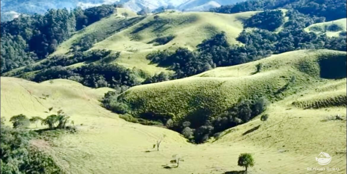 Fazenda à venda com 3 quartos, 2662000m² - Foto 5