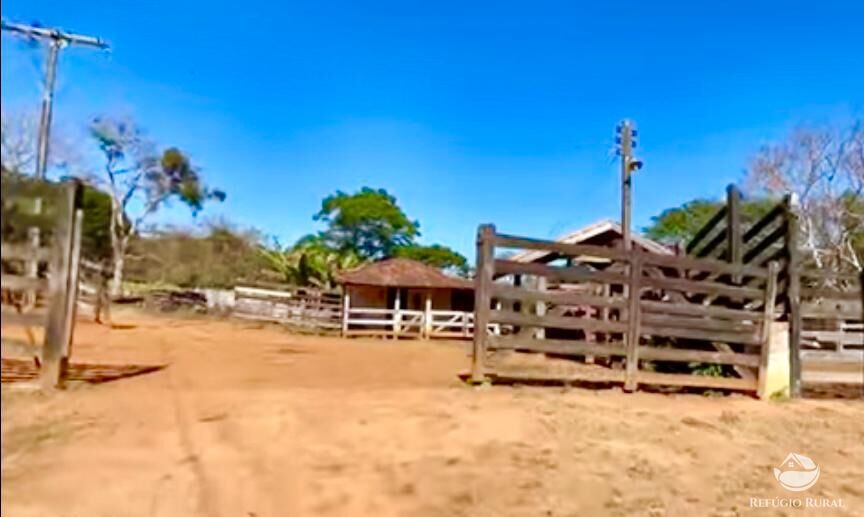 Fazenda à venda com 3 quartos, 2662000m² - Foto 11