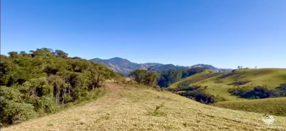 Fazenda à venda com 3 quartos, 2662000m² - Foto 6