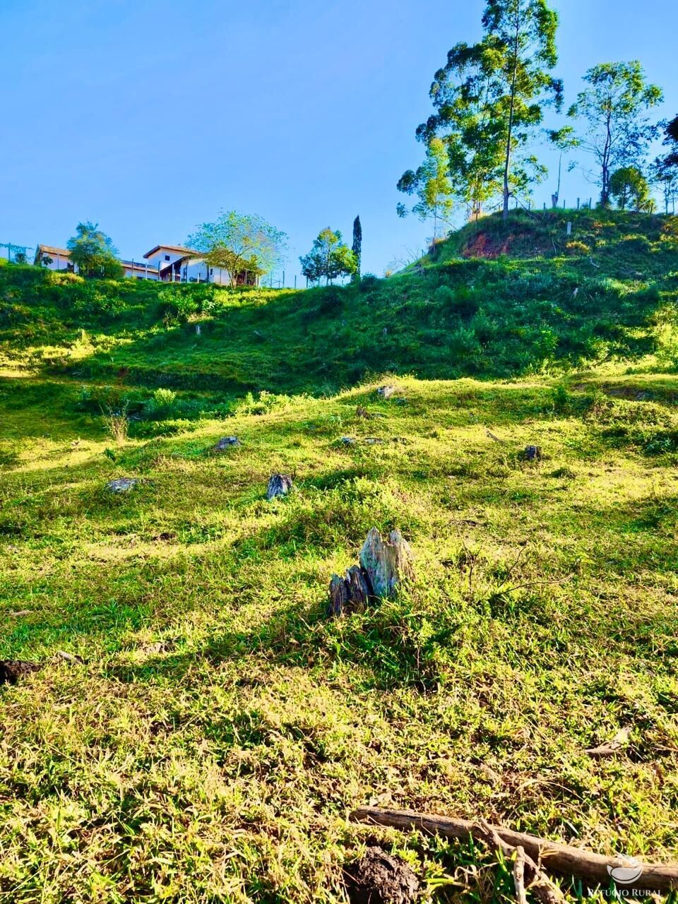 Fazenda à venda com 3 quartos, 2662000m² - Foto 24