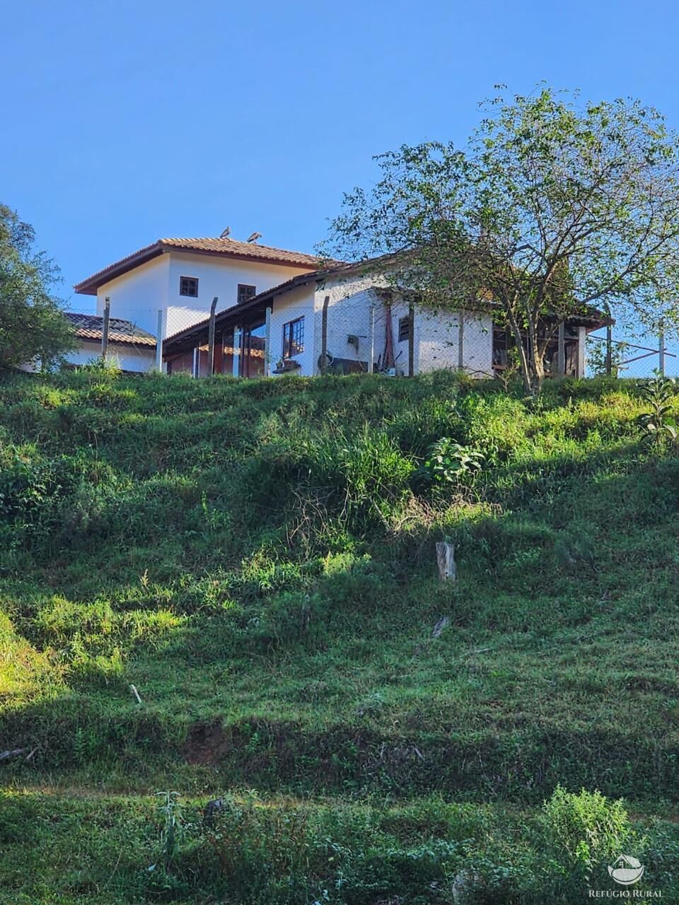 Fazenda à venda com 3 quartos, 2662000m² - Foto 17