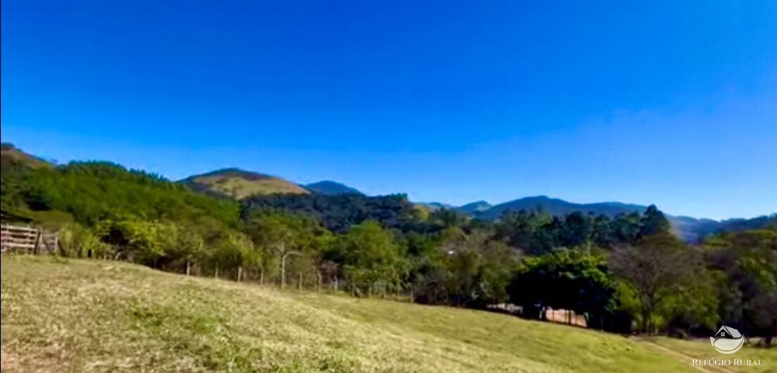 Fazenda à venda com 3 quartos, 2662000m² - Foto 15