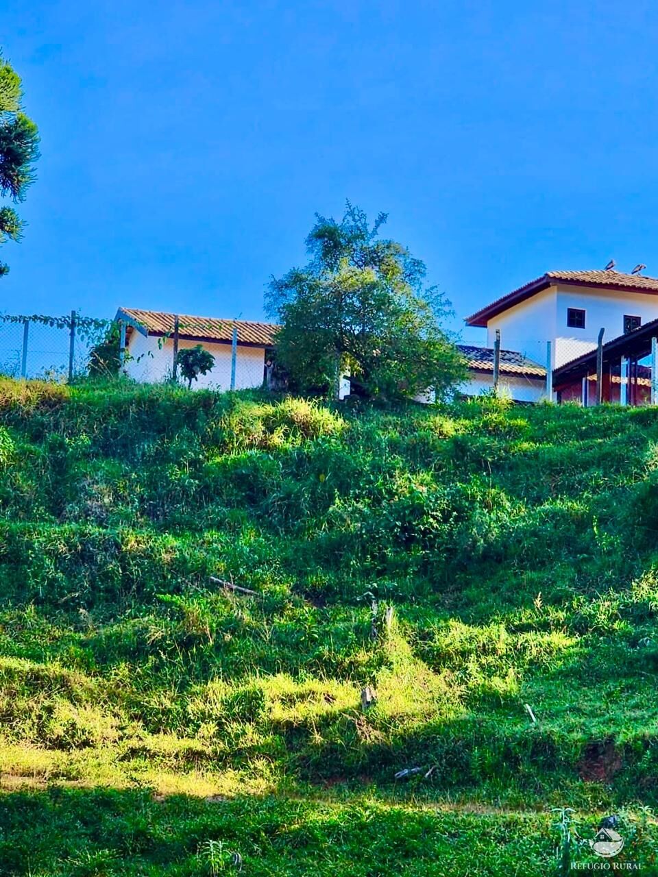 Fazenda à venda com 3 quartos, 2662000m² - Foto 27
