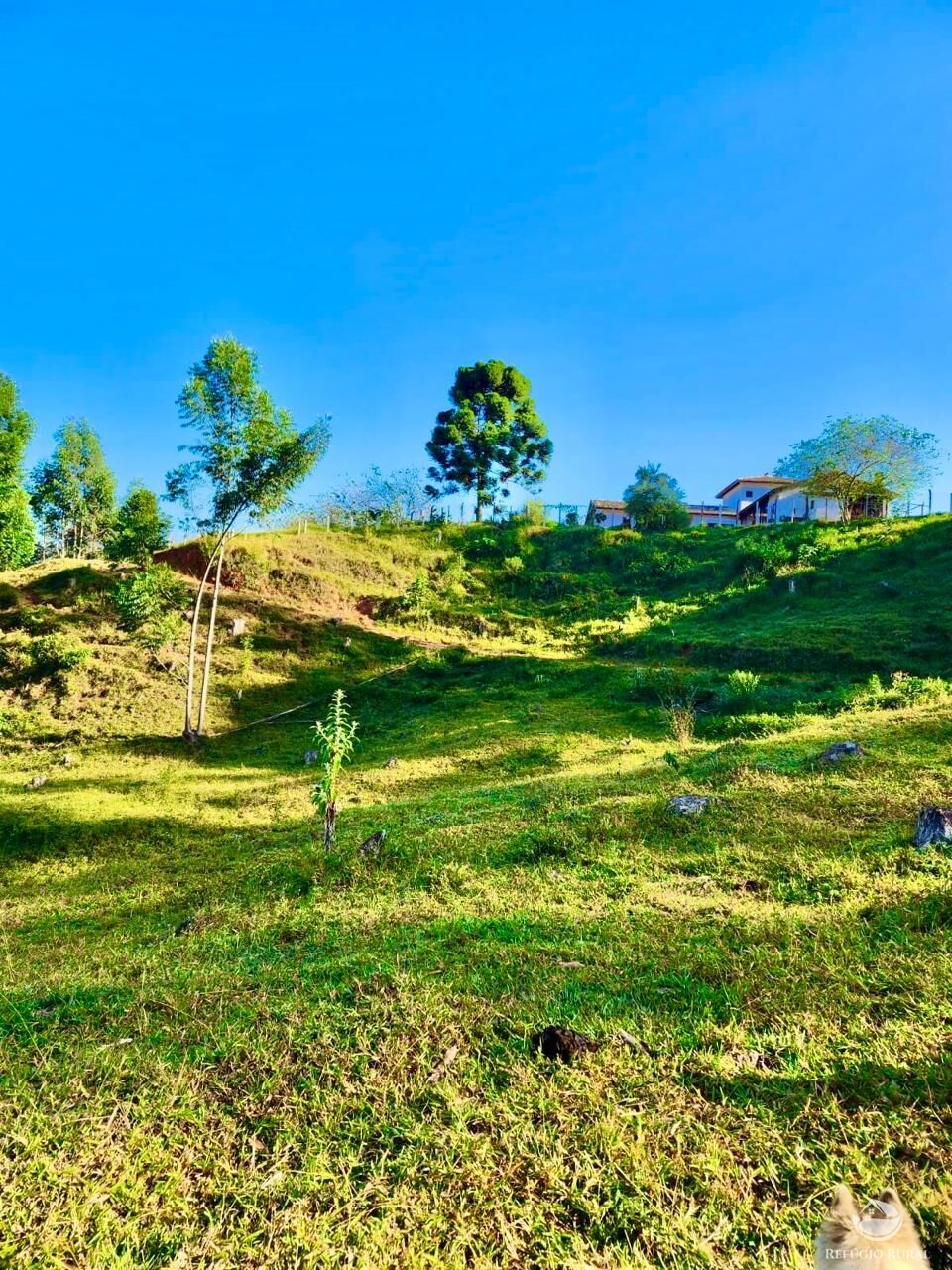 Fazenda à venda com 3 quartos, 2662000m² - Foto 25