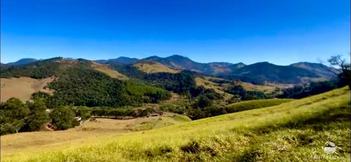 Fazenda à venda com 3 quartos, 2662000m² - Foto 10
