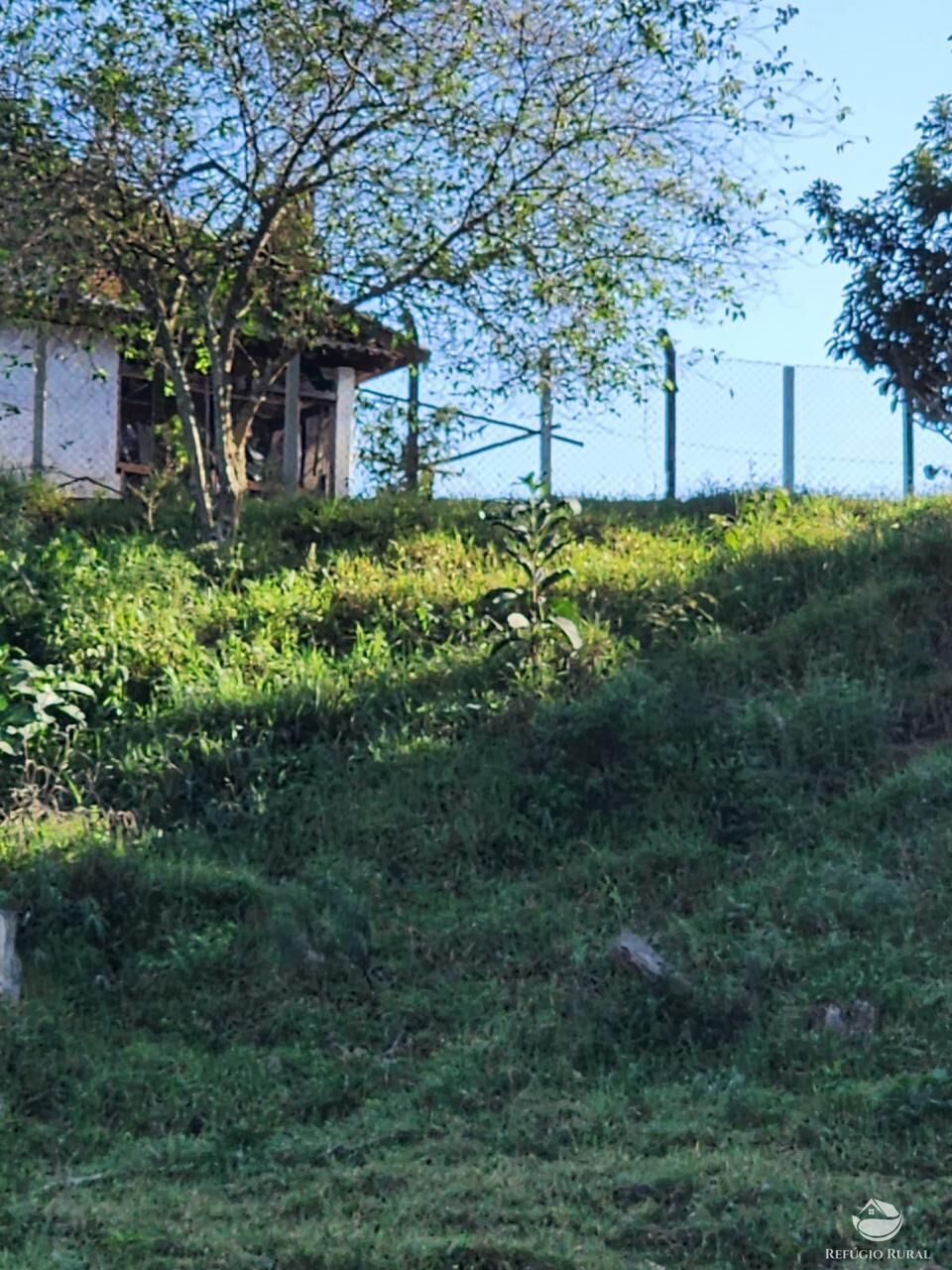 Fazenda à venda com 3 quartos, 2662000m² - Foto 16
