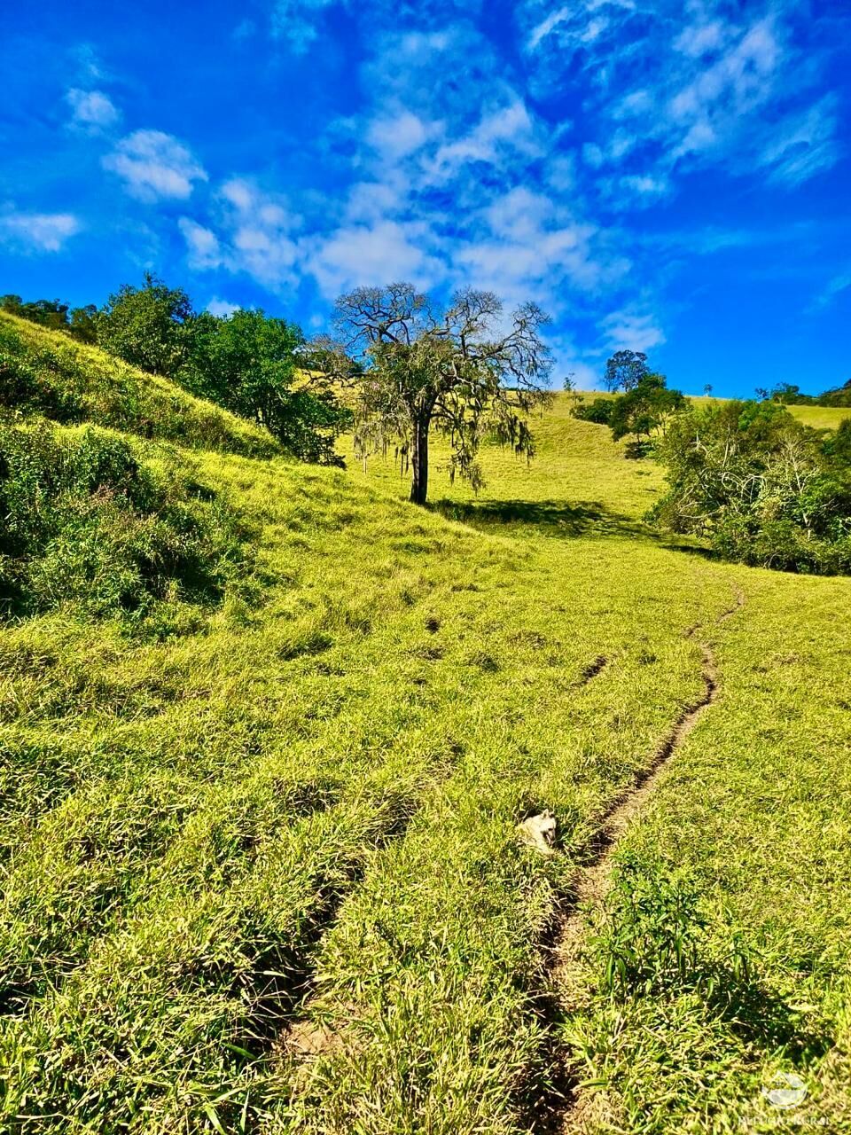 Fazenda à venda com 3 quartos, 2662000m² - Foto 22