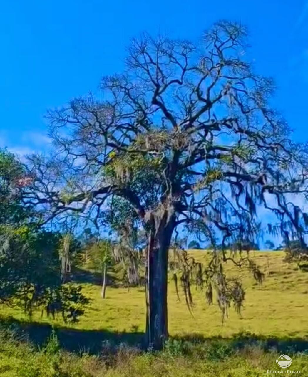Fazenda à venda com 3 quartos, 2662000m² - Foto 31