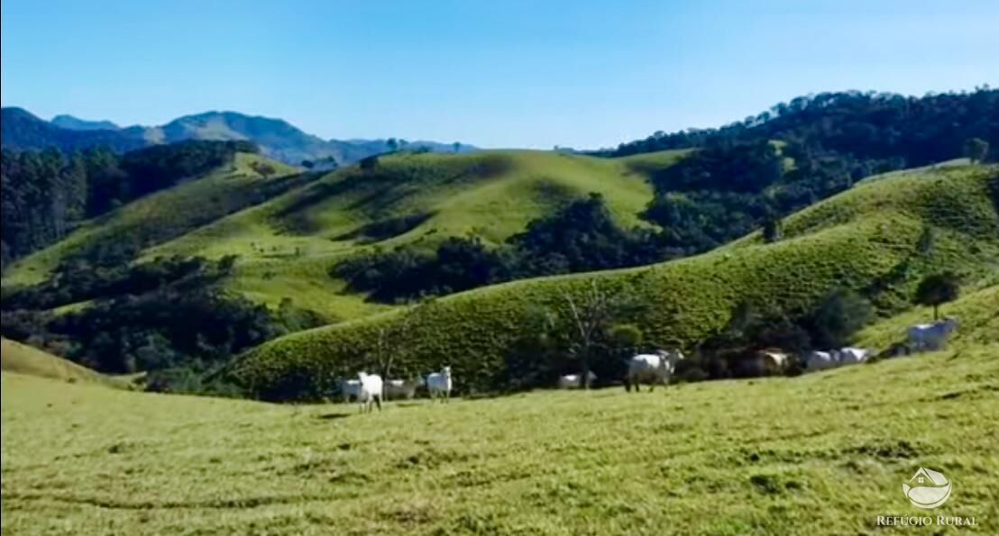 Fazenda à venda com 3 quartos, 2662000m² - Foto 4