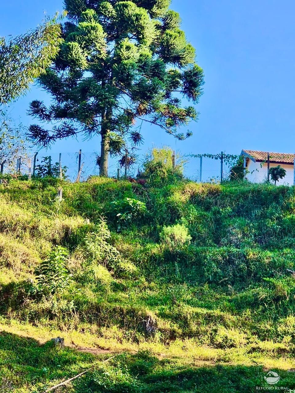 Fazenda à venda com 3 quartos, 2662000m² - Foto 28