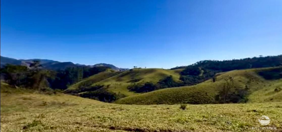 Fazenda à venda com 3 quartos, 2662000m² - Foto 7
