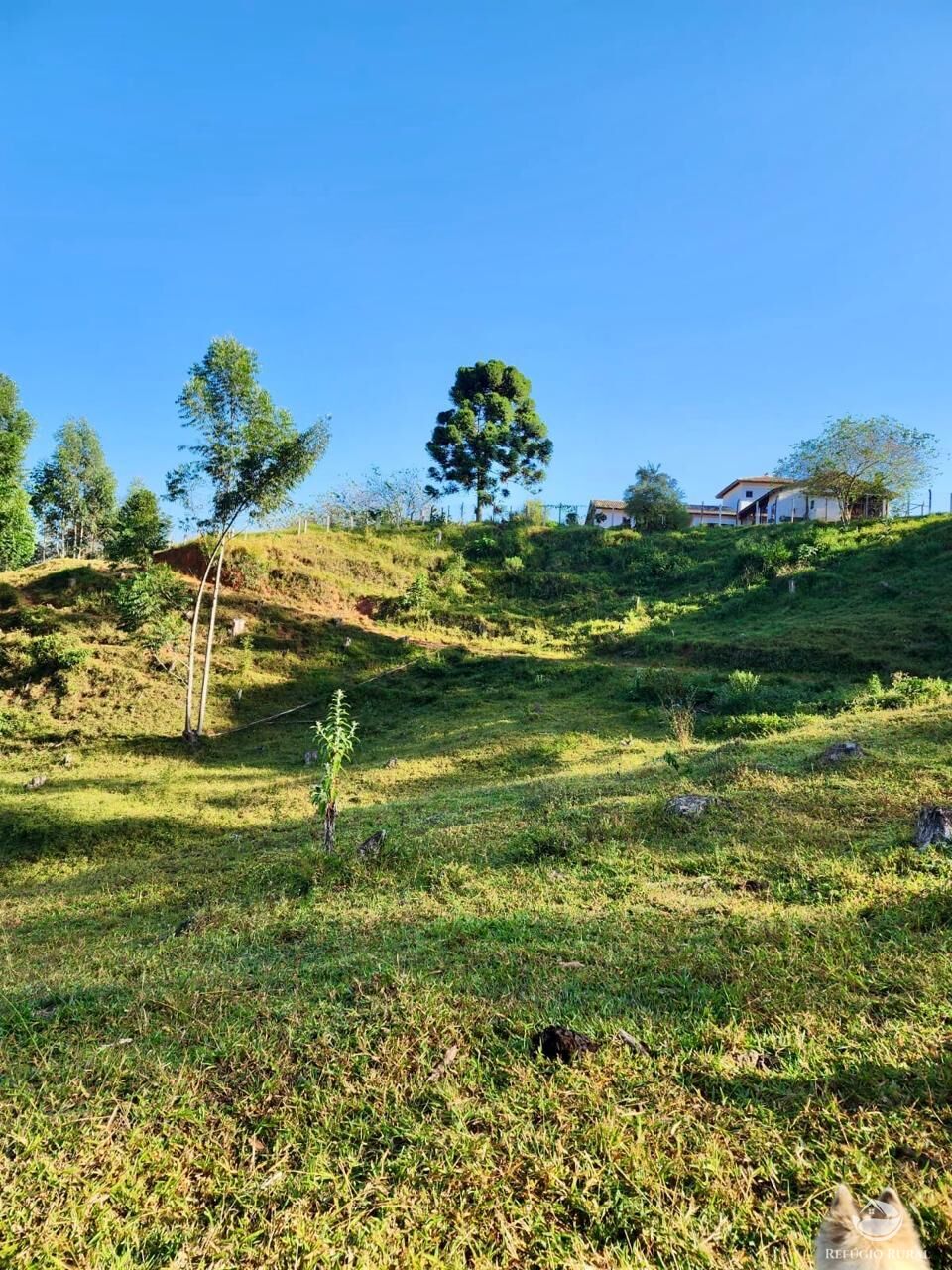Fazenda à venda com 3 quartos, 2662000m² - Foto 21