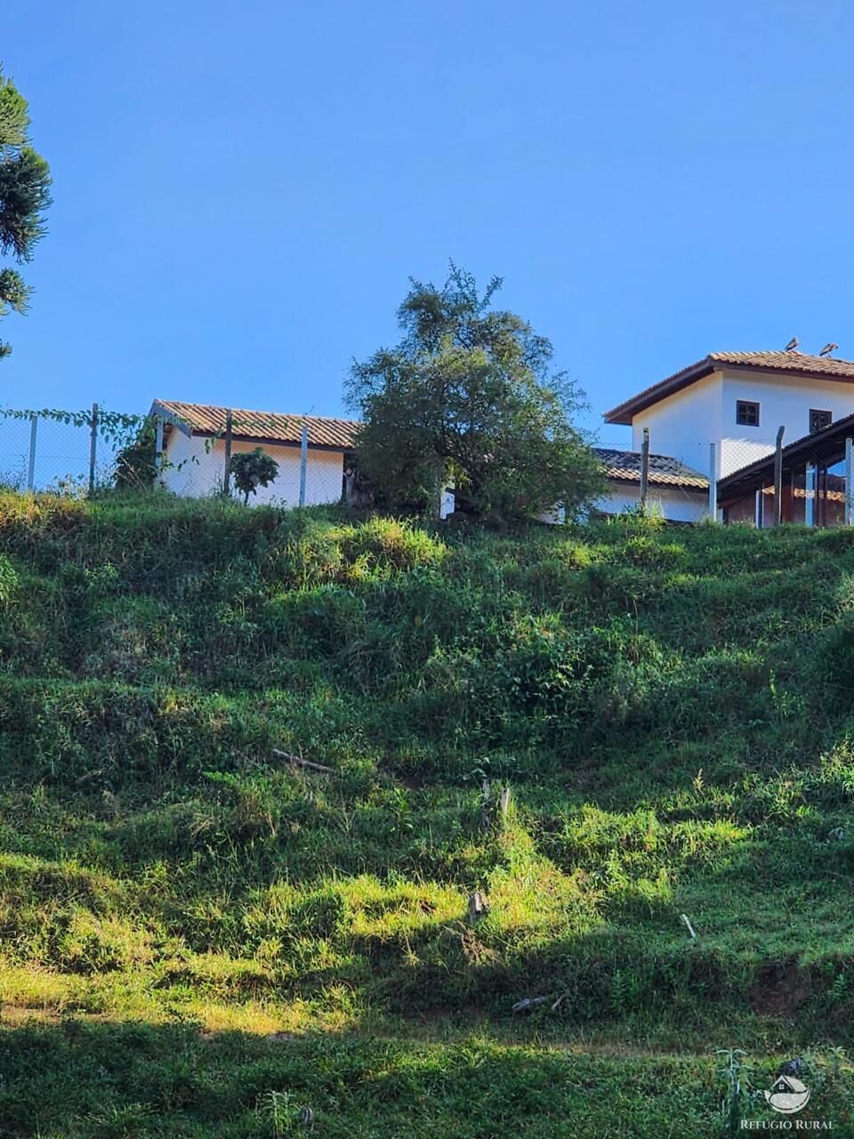 Fazenda à venda com 3 quartos, 2662000m² - Foto 18